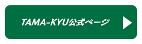テリヤキゲームズ公式X